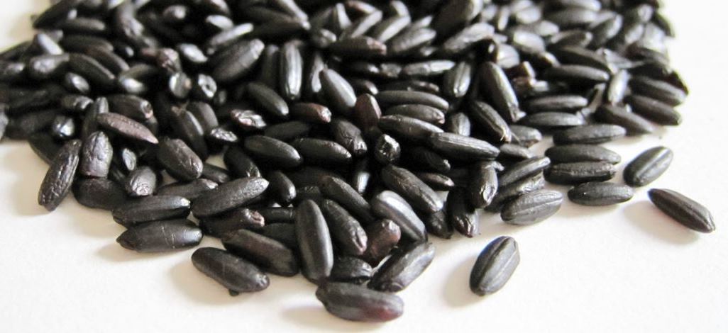 immagine articolo ristorante roma via nomentana pepeverde