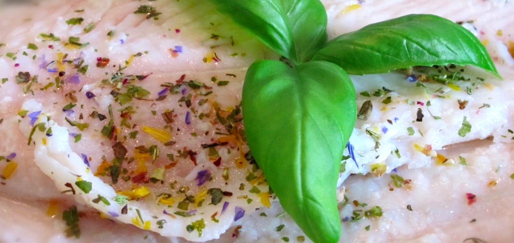 Caldo estivo e fresco mare il menu del ristorante di Roma Nord