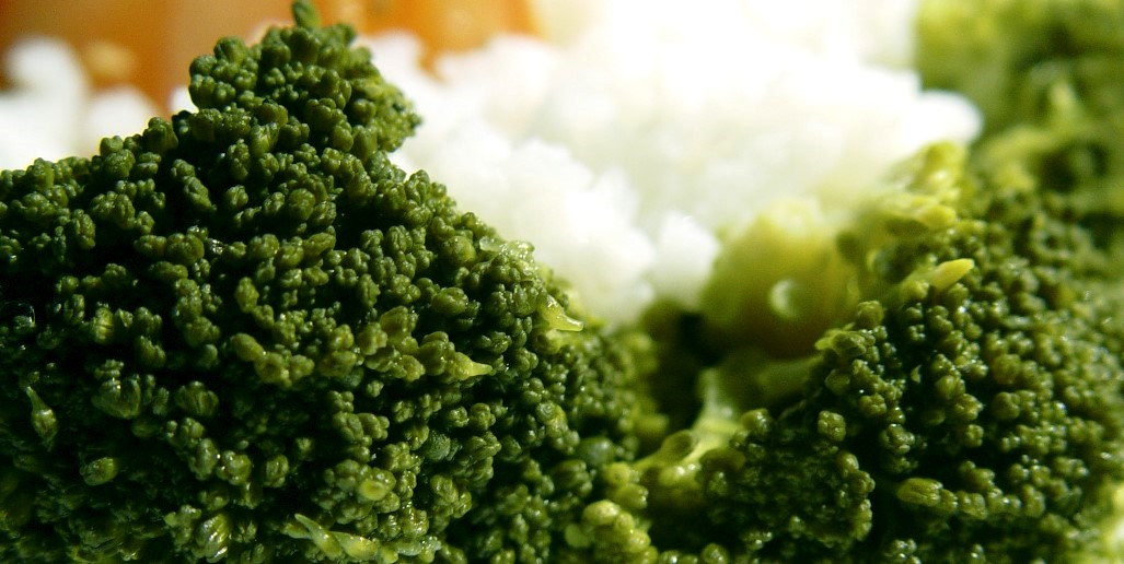 Cucina creativa al ristorante in via Nomentana